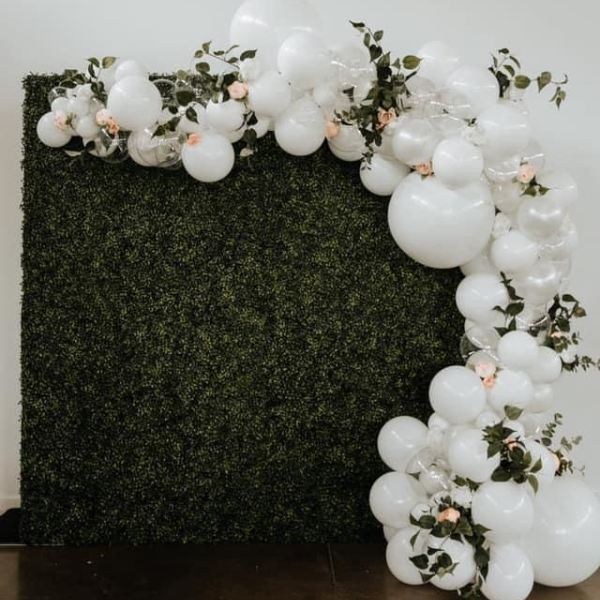 Balloon Arch